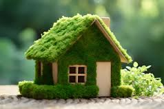 The Rise of Sustainable Homes: Eco-Friendly Living in Nepal