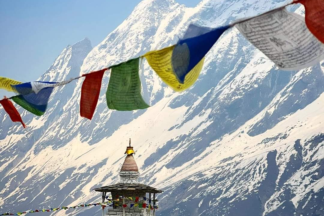 Why Travelers Choose Insight Adventures Nepal: A Legacy of Excellence and Expertise